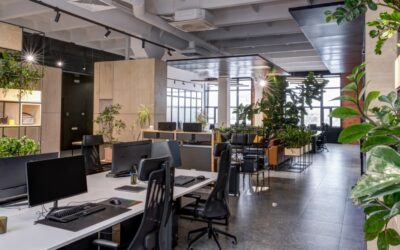 8 Benefits of Owner-User Loans for Businesses